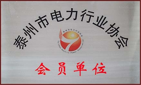 泰州市电力行业协会