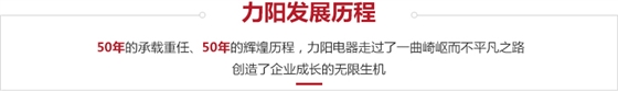 力阳电器